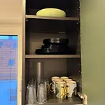 Apartment Unique Jungle Leaf